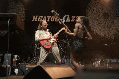 Penampilan Arp Frique (Belanda) di Ngayogjazz 2019.